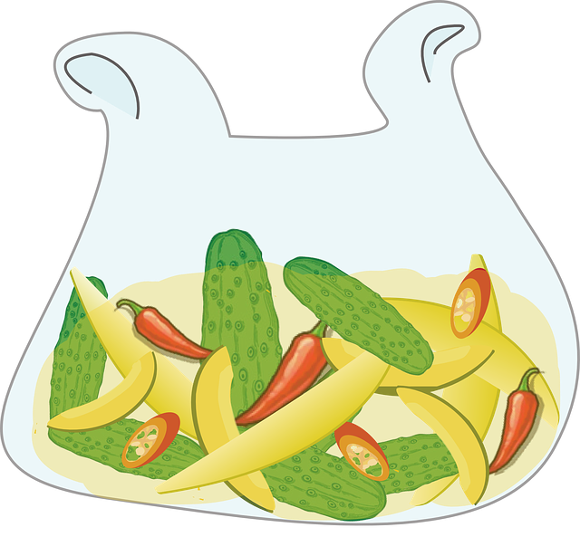Free Vegetable Cucumber vector and picture