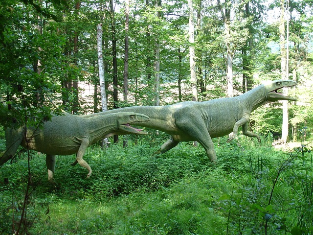 Dinosaurier, Urzeitlich, Wildnis, Reptil