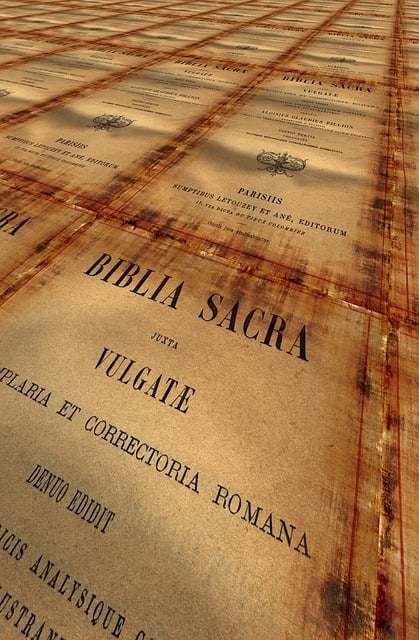 Free bible a book old illustration