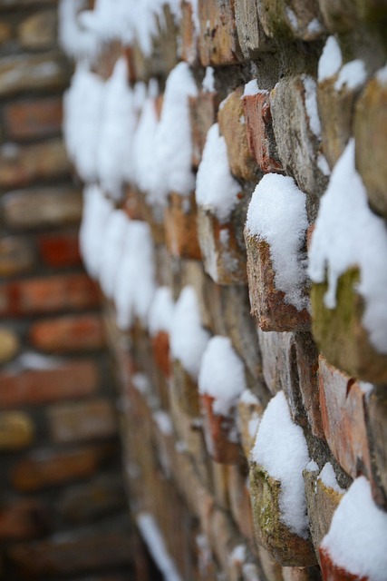 Free Brick Cellar photo and picture