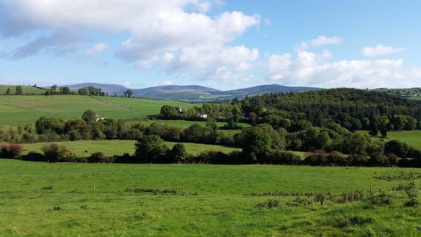 Land, Natur, Landschaft, Grün, Sommer