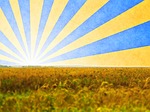 agriculture, abstract, abundance
