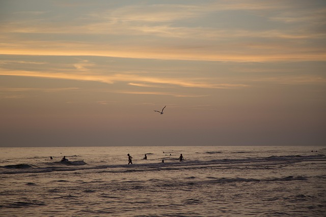 Free Sea Beach photo and picture