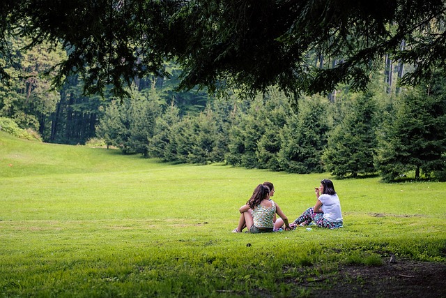 Free Picnic Nature photo and picture