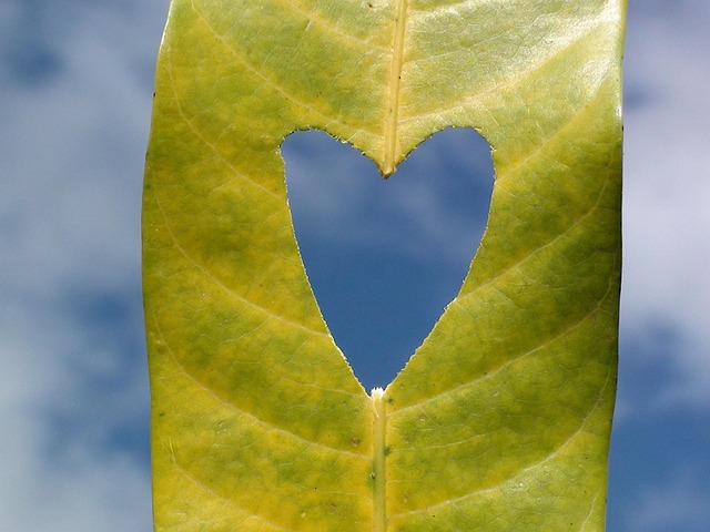 Hart, Blad, Dol Zijn Op, Natuur, Symbool