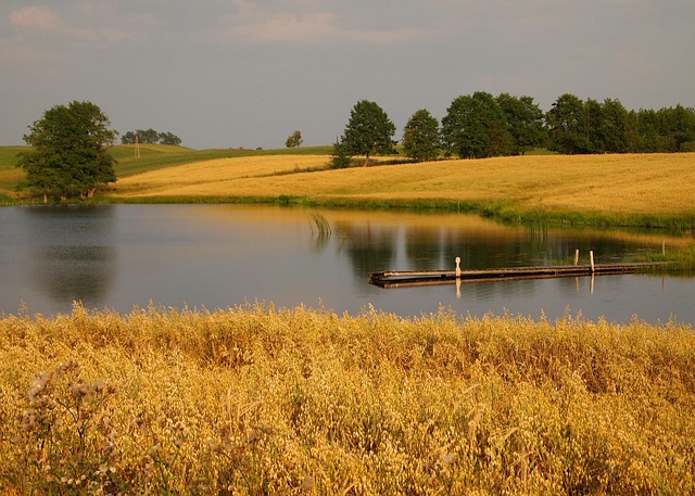 Free Nature Landscape photo and picture