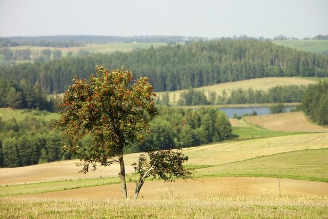 Free Nature Landscape photo and picture