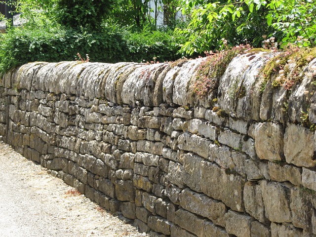 Free Wall Stones photo and picture