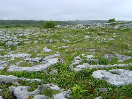 Irland, Felsig, Boden, Felsen, Gras