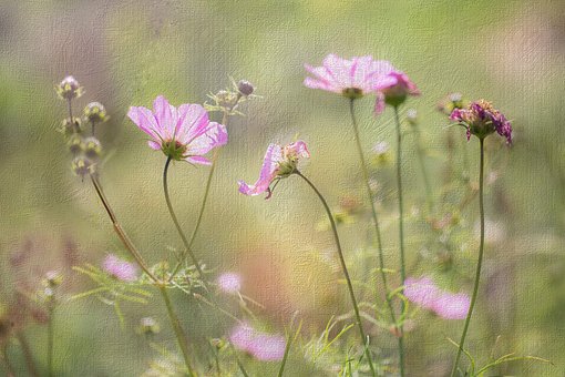 Free Painting Flowers photo and picture