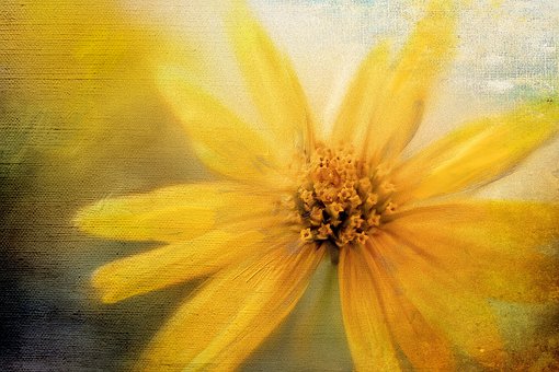 Free Painting Flower Wallpaper photo and picture