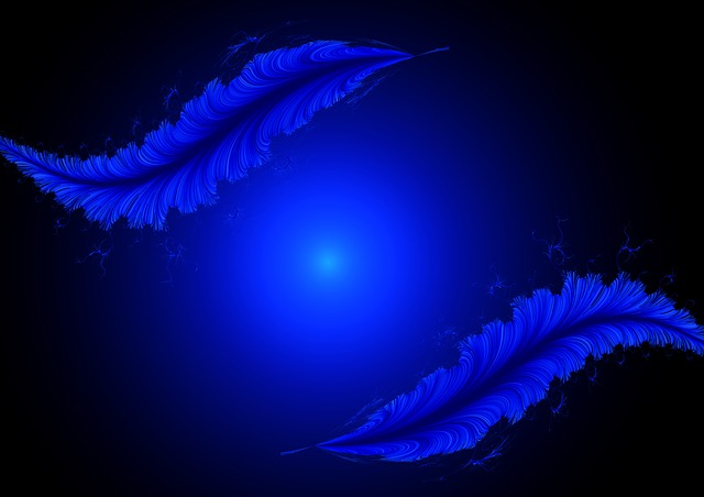 Free fractals leaves feather illustration