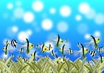 pisces, underwater world, fairy tale
