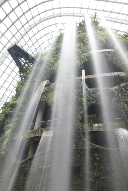 Free Waterfall Landscape photo and picture