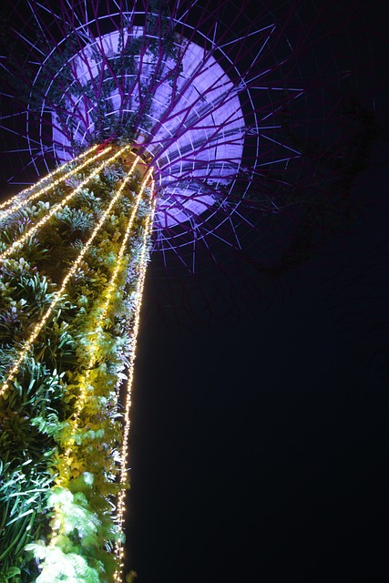 Free Supertree Night photo and picture