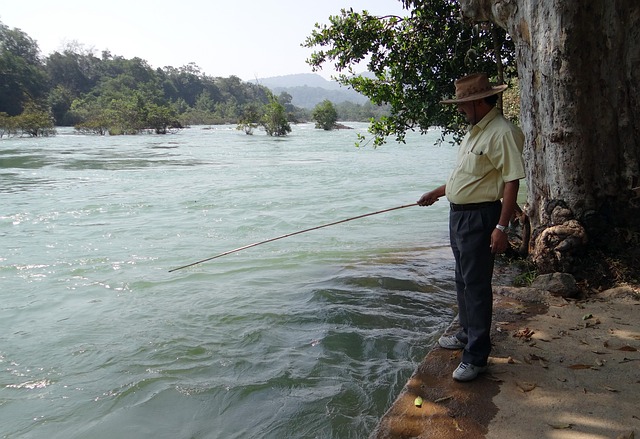 Free Fishing Angling photo and picture