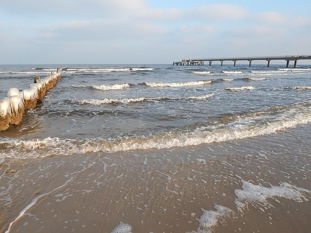 Free Winter Beach photo and picture