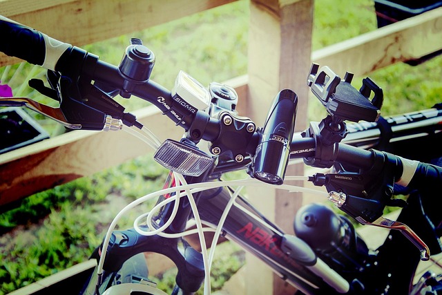 Free Bike Brakes photo and picture