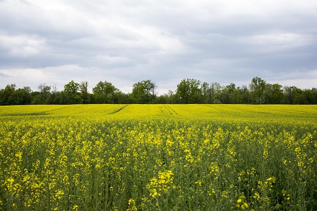 Free Nature Landscape photo and picture