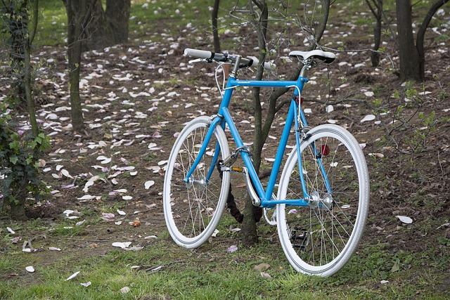 Free Bike Blue photo and picture