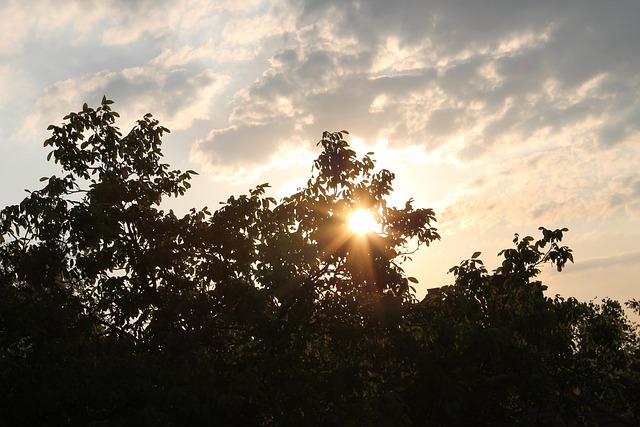 Free Sky Sun photo and picture