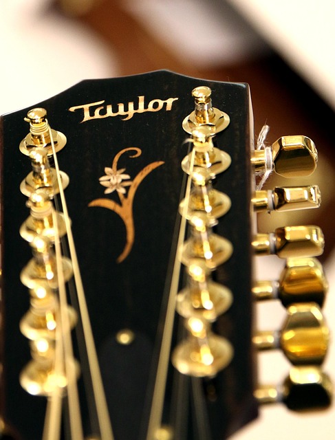 Guitar Acoustic Strings Free Photo On Pixabay Pixabay Guitar Acoustic Strings Free Photo On Pixabay Pixabay