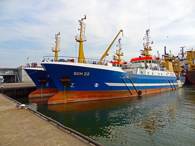 Free Port Docks photo and picture