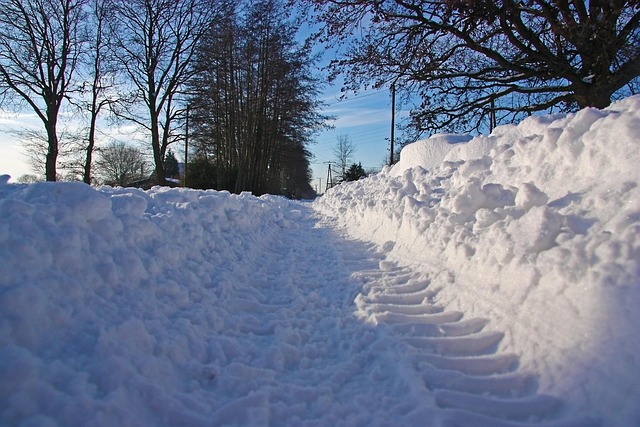 Free Snow Road photo and picture
