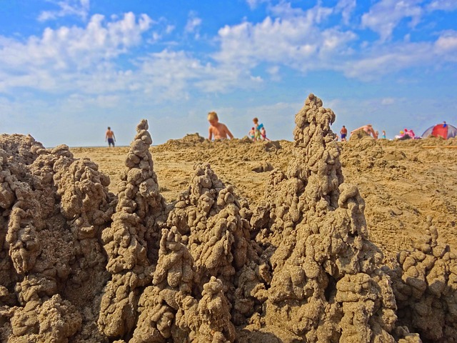 Free Beach Vacation Nature photo and picture