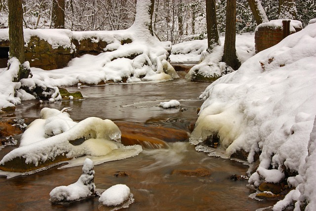 Free Winter Bach photo and picture