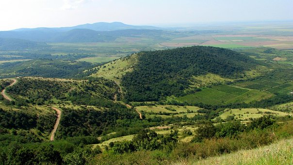Landschaft, Grün, Weg, Sommer, Gras