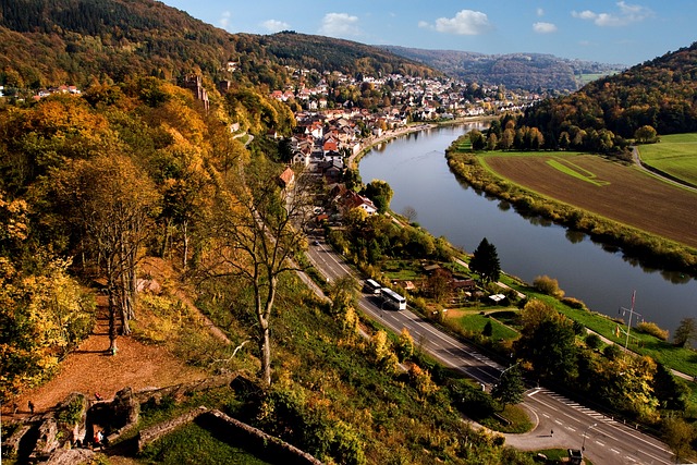 Free Neckarsteinach Valley photo and picture