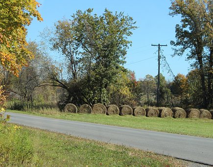 Free Hay Bale photo and picture