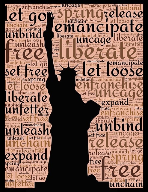 Free statue of liberty liberty liberate illustration