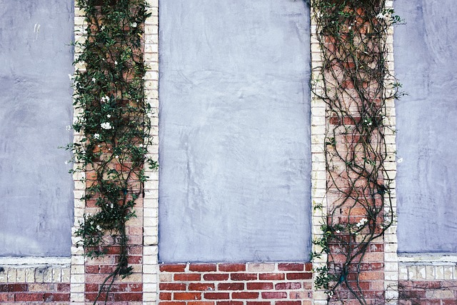 Pared, Ladrillos, Decoración, Hiedra