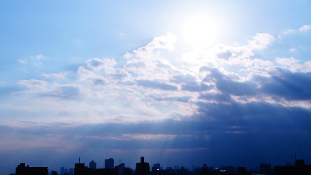 Free Tokyo City photo and picture