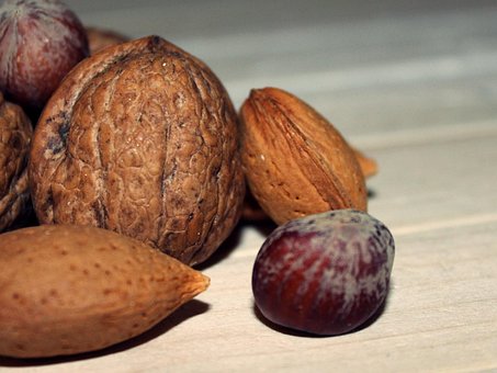 Frutos Secos chocolate con leche, cobertura de chocolate, mantequilla, cereales de chocolate, almendra molida, avellana molida, nuez molida, castaña, molida, maní