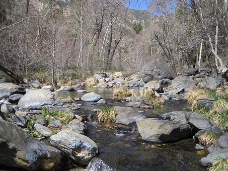 Free Water River photo and picture
