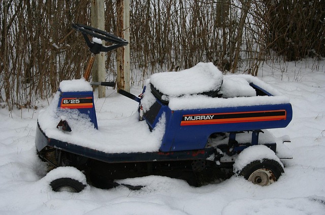 Free Snow Lawn photo and picture