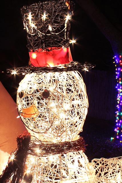 Free Snowman Christmas Lights photo and picture