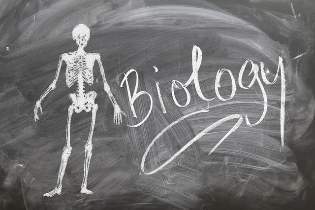 Free Biology School illustration and picture