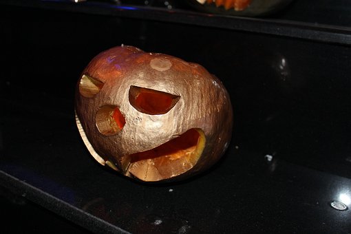 Free Pumpkin Halloween photo and picture