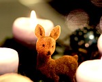 advent wreath, roe deer, candles