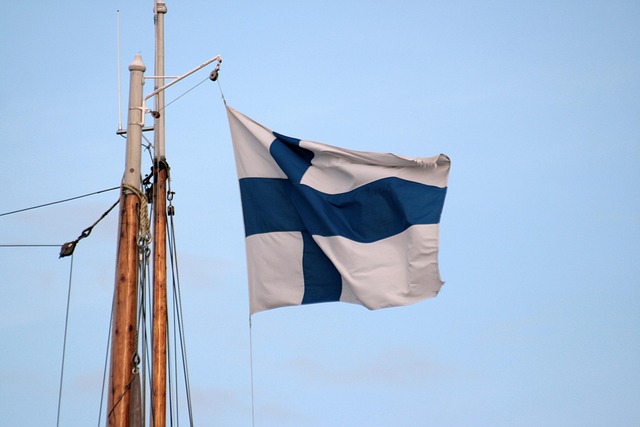 Free Sky Flag photo and picture