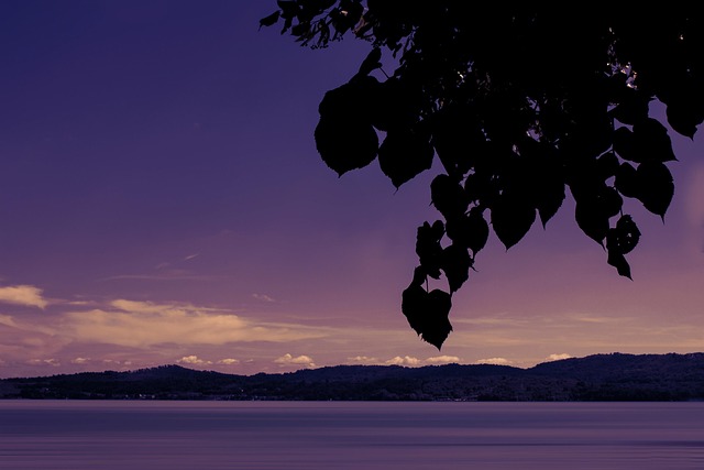 Meer, Die Nadel, Wasser, Sonnenuntergang