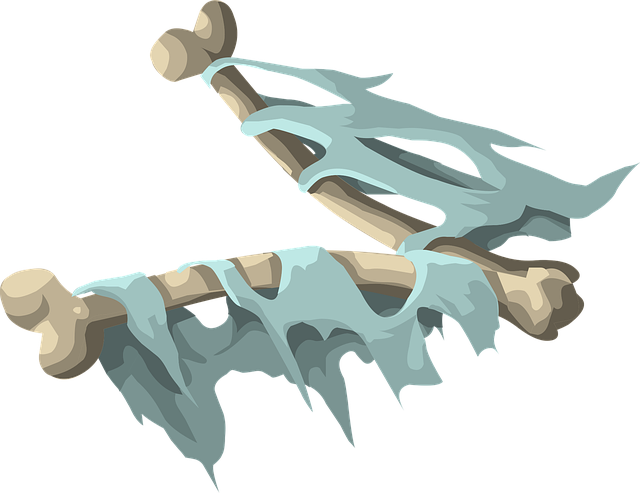 Free bones skeleton dead illustration