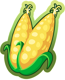 Corn, Maize, Vegetables, Food, Harvest by OpenClipart-Vectors Corn, Maize, Vegetables, Food, Harvest