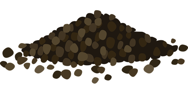 Free black pepper spices piper nigrum vector