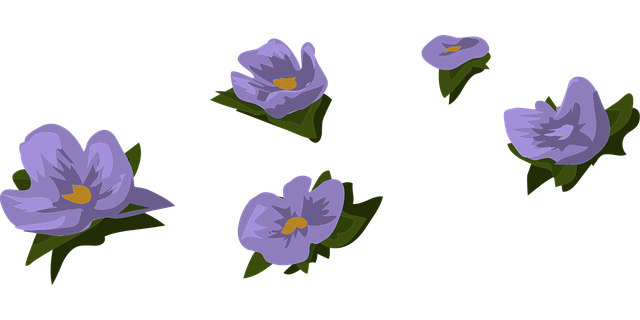 Blau, Petunie, Blumen, Blüht, Muster