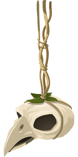 Free skull head bird illustration